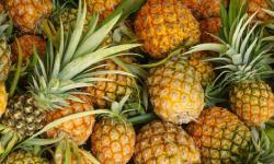 Frutas Ecuatorianas de Exportación